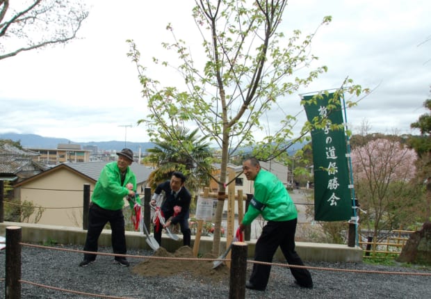 50周年記念植樹祭 八重桜が満開 哲学の道保勝会