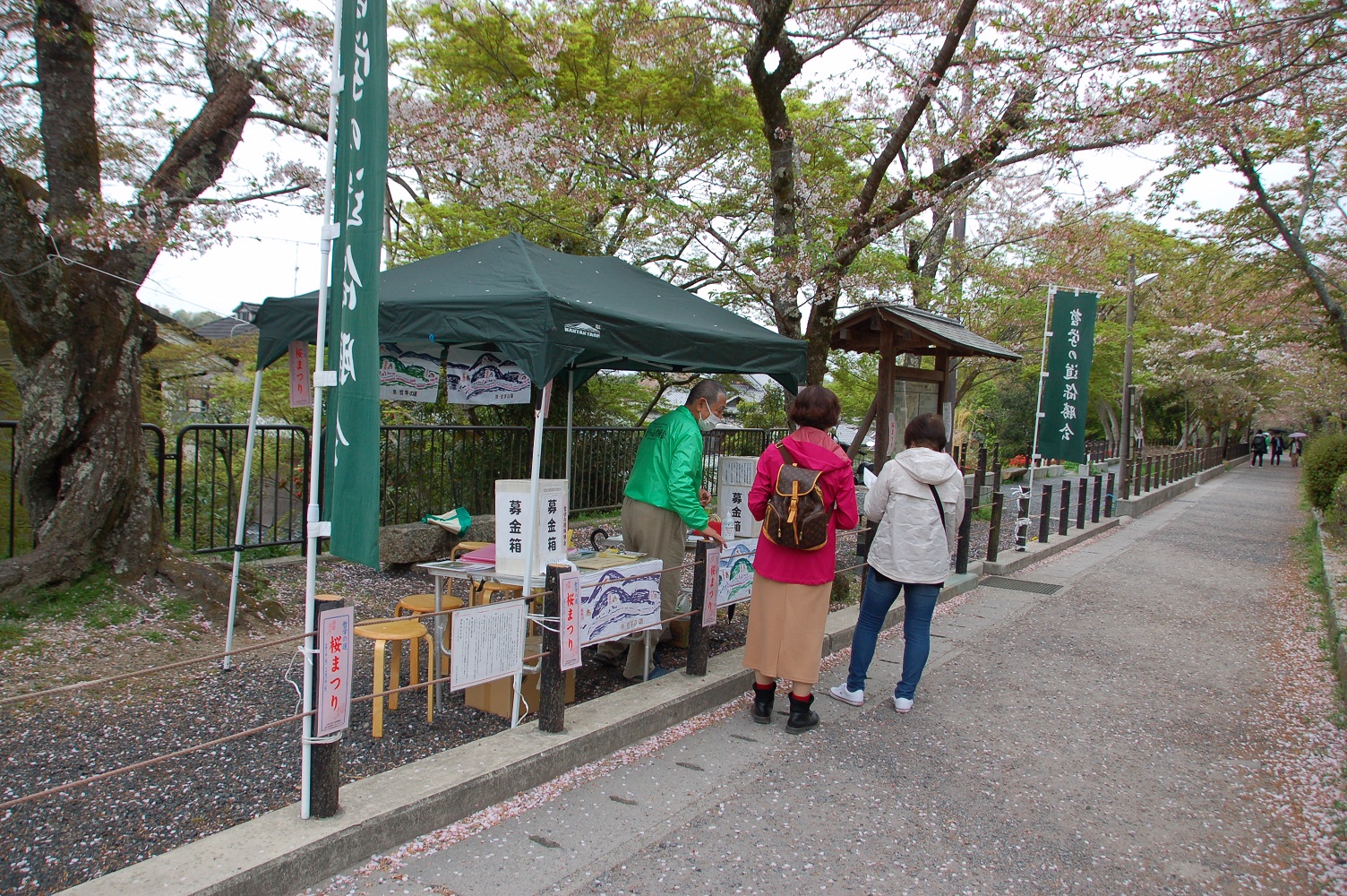 桜まつり 開催 哲学の道保勝会